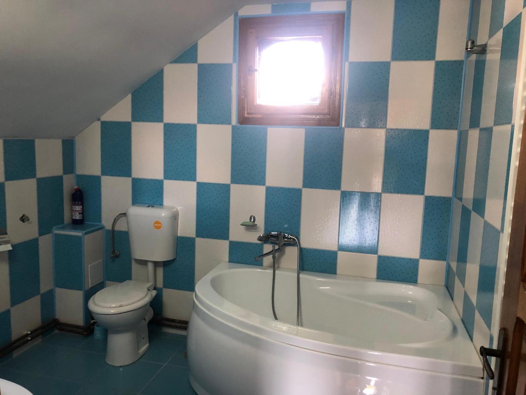Târgu Jiu La Conac Complex Deluxe Targu-Jiu B&B 외부 사진